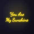 Néon LED You Are My Sunshine allumé sur mur sombre